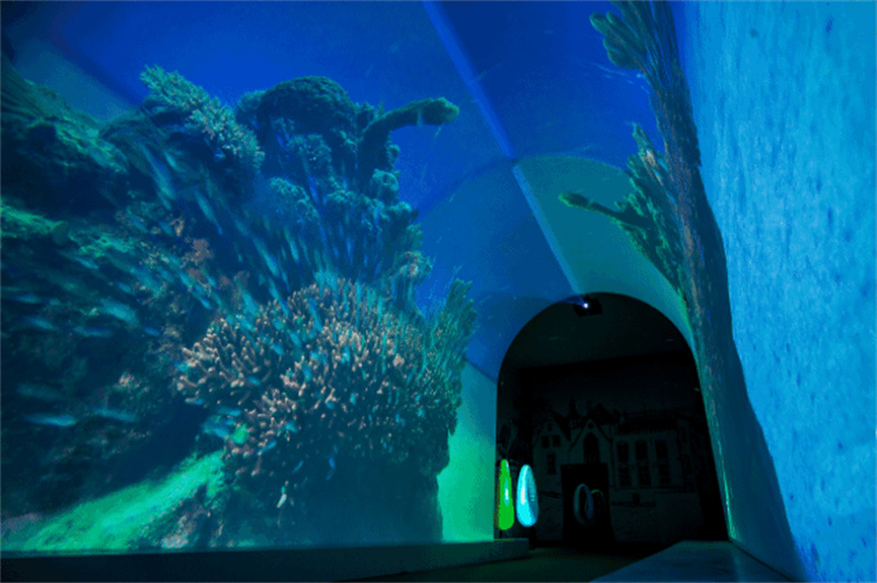 全息投影03 全息投影03